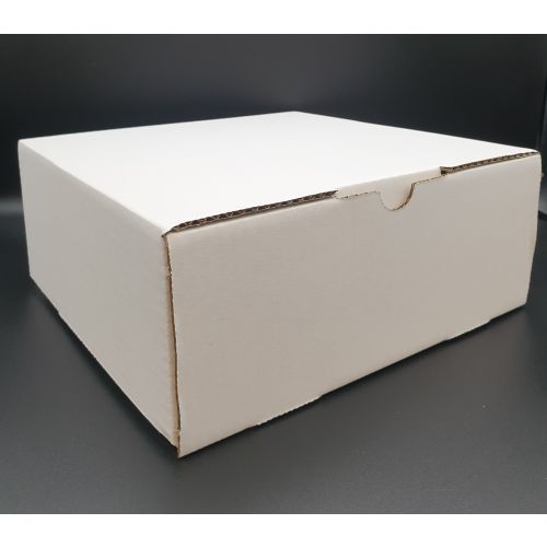 100 x 10" x 10" x 4" Corrugated Cake Boxes