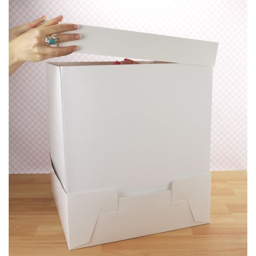 Cake Box Extenders