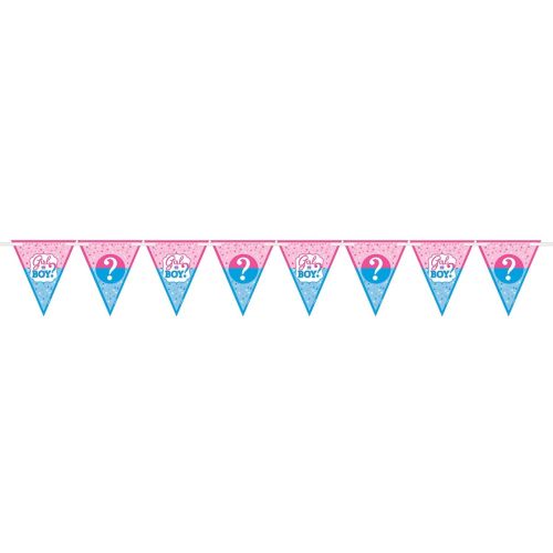 Girl or Boy Pennant Bunting