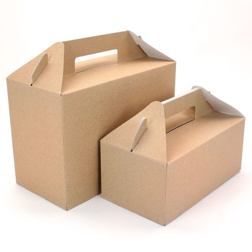 Paperboard Carry Pack Boxes (Pack of 125 )