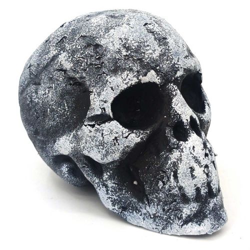 Small Foam Skull