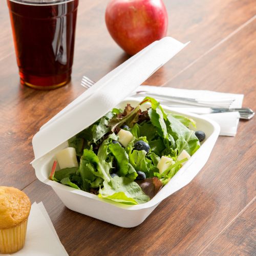 250 x HP2 Biodegradable Bagasse Hinged Hot Food Box