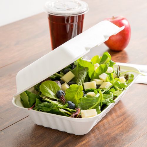 250 x HP3 Biodegradable Bagasse Hinged Hot Food Box