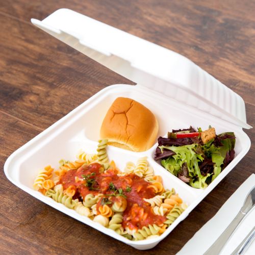 200 x 9" 3 Compartment Biodegradable Bagasse Takeaway Boxes