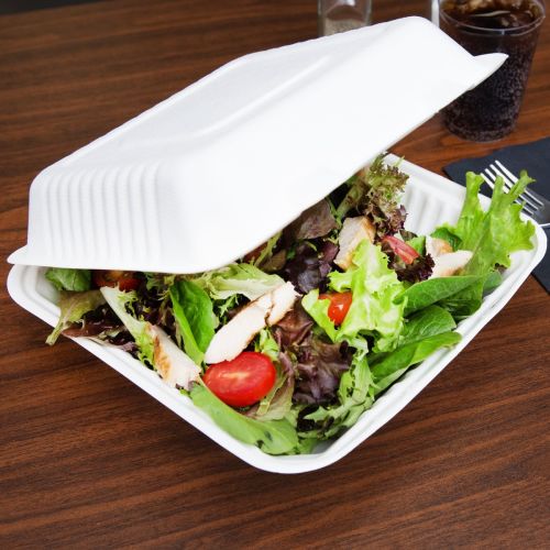 200 x HP4 8" Square Biodegradable Bagasse Takeaway Boxes