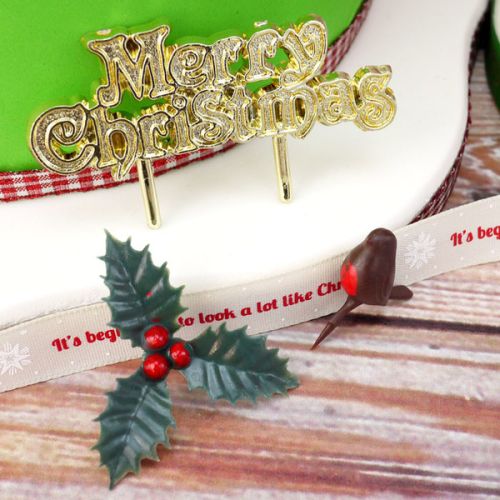 3 Piece Christmas Cake Decorating Kit 