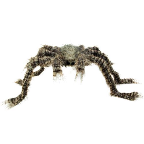 Large Brown Hairy Spider