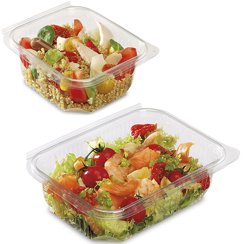 Clear Plastic Rectangular Salad Container - Multiple Sizes