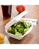 250 x HP2 Biodegradable Bagasse Hinged Hot Food Box