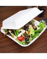 200 x HP4 8" Square Biodegradable Bagasse Takeaway Boxes