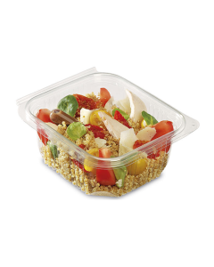Clear Plastic Rectangular Salad Container - Multiple Sizes