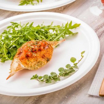 Biodegradable Plates Biodegradable Plates