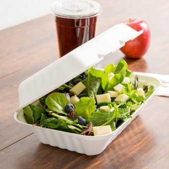 Biodegradable Hot Food Containers Biodegradable Hot Food Containers
